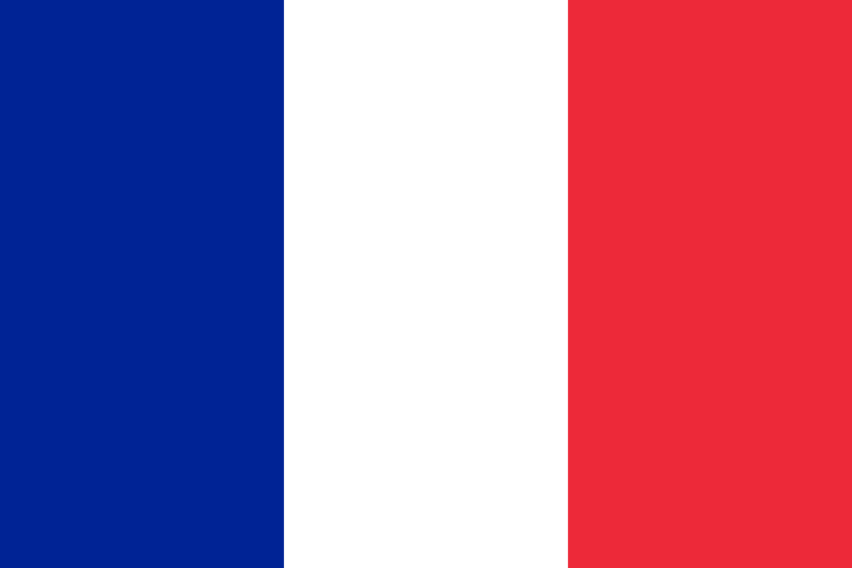 Flag of France (Personnalisé)